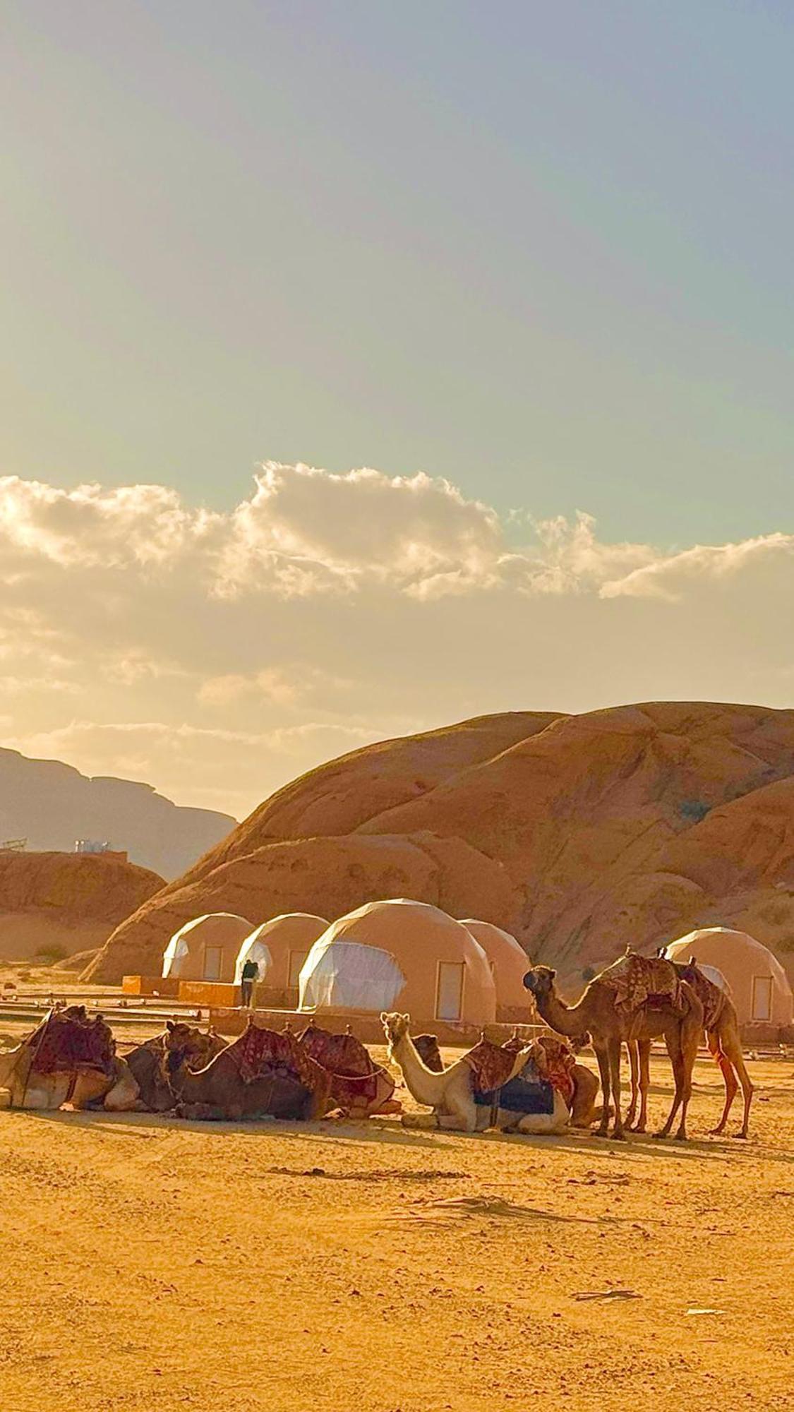 Wadi Rum Anwar Luxury Camp Exteriör bild
